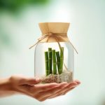 環境にやさしい包装：プラスチックの代替品を探る