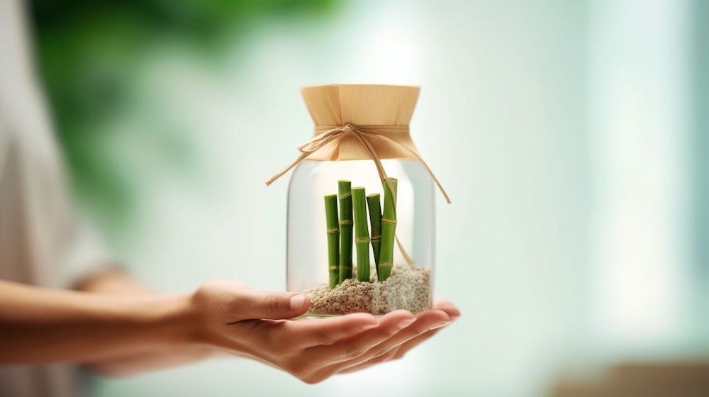 環境にやさしい包装：プラスチックの代替品を探る